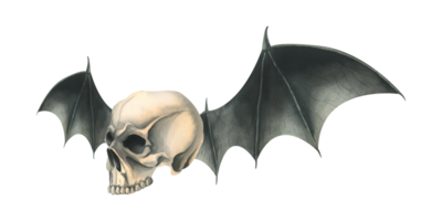 Side view human skull with black bat wings for death day holiday and halloween. Watercolor illustration, hand drawn. Isolated composition png
