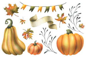 Orange autumn pumpkins with maple leaves, garland flags, twigs and paper roll blank template for text. Watercolor illustration, hand drawn. Set of isolated elements png