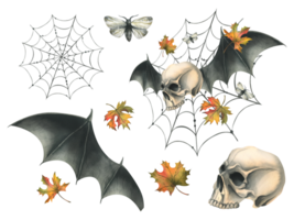 Human skull flying with bat wings, night moths, cobweb and autumn maple leaves. Hand drawn watercolor illustration for Halloween. Set of isolated elements png
