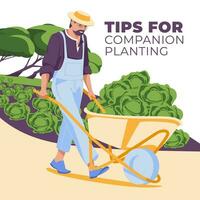 el hombre lleva un jardín carretilla con un repollo cultivo. campos en el antecedentes. el concepto de vida y agricultura. plano vector ilustración