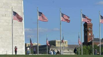 American Flags Waving in Wind in DC video