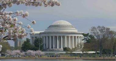 Jefferson monumento en corriente continua video