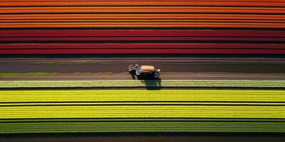 Generative AI, Farm colorful landscape, agricultural fields, beautiful countryside, country road. Nature Illustration, top view drone, horizontal banner. photo