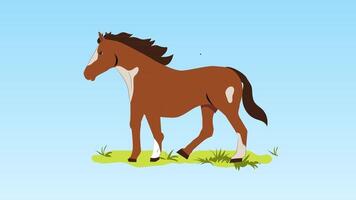 une dessin animé cheval permanent sur herbe dans le champ video