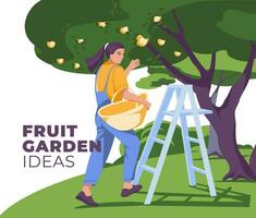 A young woman collects fruits from a tree. The concept of life and agriculture. Flat vector illustration