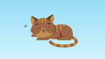 a cartoon cat sleeping on a blue background video