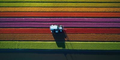 Generative AI, Farm colorful landscape, agricultural fields, beautiful countryside, country road. Nature Illustration, top view drone, horizontal banner. photo