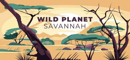 savanna sunset landscape in soft tones. Vector flat illustration. African flora.