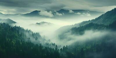 Generative AI, Misty fir forest beautiful landscape in hipster vintage retro style, foggy mountains and trees. photo