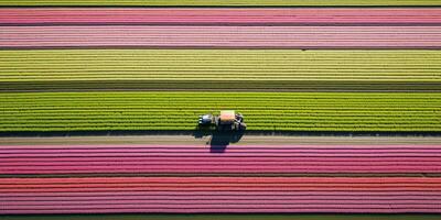 Generative AI, Farm colorful landscape, agricultural fields, beautiful countryside, country road. Nature Illustration, top view drone, horizontal banner. photo