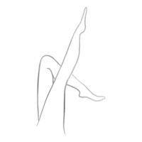 Silver Slim Woman Legs Outline png