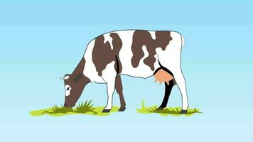 une dessin animé vache pâturage sur herbe video