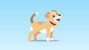 un' cartone animato cane in piedi su un' blu sfondo video