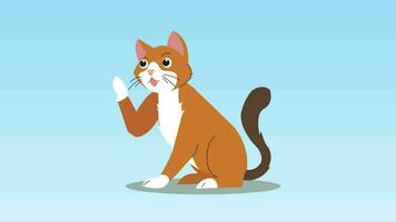 un' cartone animato gatto seduta su il terra e raccolta suo zampa video
