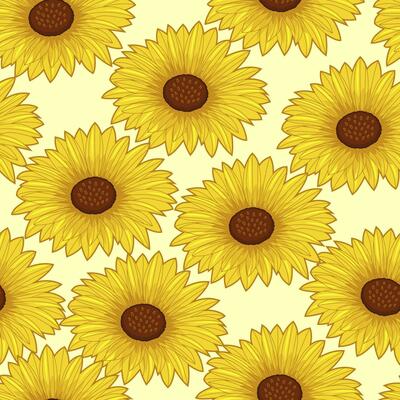 Floral seamless pattern sun flower. tropical background