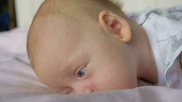 portrait de silencieux charmant deux mois bébé fille avec gros bleu yeux video