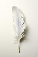 A soft feather falling gently signifying peaceful slumber isolated on a white background photo