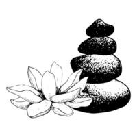 Vector lotus flower and balanced stones pyramid realistic graphic sketch illustration for yoga center, natural cosmetics