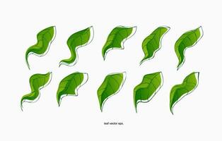 a set of green leaves on a white background vector