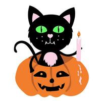 contento Víspera de Todos los Santos pegatina con linda negro gato en calabaza con vela. vector