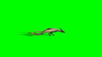 Pterodactyl chroma key, Pterodactyl green Screen animation, pterosaur, winged reptile, flying dinosaur, flying reptile video