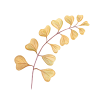 aguarela abstrato outono ramo. amarelo coração em forma folhas para ramalhete decoração. mão desenhado ilustração para papel de parede, imprimir, bandeira projeto, cartões postais, modelo png