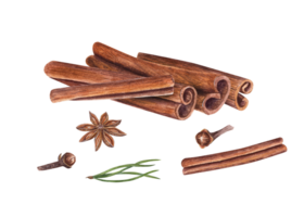 Watercolor composition of cinnamons, cloves, star anise, pine needles. Botanical illustration for Christmas and New Year cards, book design, patterns, spice shops png