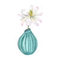 Single Lotus Flower on long stem in turquoise ceramic vase. Withering Water Lily, Indian Lotus, Sacred Lotus, ceramics, flower pot. Interior decor, design element. Watercolor illustration png