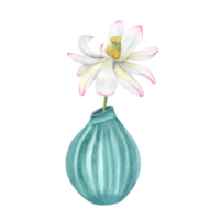 Single Lotus Blume auf lange Stengel im Türkis Keramik Vase. welken Wasser Lilie, indisch Lotus, heilig Lotus, Keramik, Blume Topf. Innere Dekor, Design Element. Aquarell Illustration png