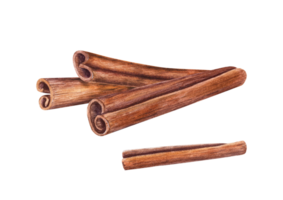 Composition of Cinnamon Sticks. Nature raw organic spice from tree bark. Watercolor illustration of cinnamon. For medicine, food and aromatherapy. png