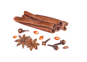 Cinnamon sticks, sea buckthorn, cloves, star anises. Watercolor botanical illustration for the design of invitation, cards, advertising posters, labels png