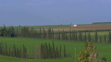 In Nea Kallikratia, Greece seen green field with trees and farm video
