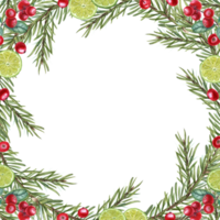 natale telaio di abete ramo, lime fette, mirtillo. acquerello illustrazione per invito, saluti, Natale e nuovo anno carte. con copia spazio per testo png