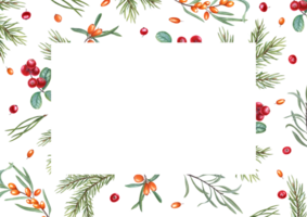 Rectangular frame of cowberries, sea buckthorn, spruce branch. Autumn ripe berries. Illustration for postcard design, invitation, greeting. Space for text. png