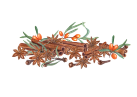 Watercolor composition of cinnamons, star anise, cloves, sea buckthorn. Illustration for the design of invitation, cards, package design, advertising posters, labels png