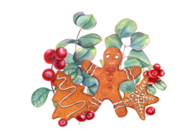 Watercolor Christmas gingerbread cookies with cranberries, eucalyptus. Traditional Xmas pastries decorated with white icing. Gingerbread man, star, spruce, plant, red berries. png