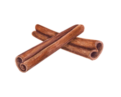 Composition of Cinnamon Sticks. Nature raw organic spice from tree bark. Watercolor illustration of cinnamon using in medicine, food and aromatherapy. png