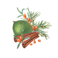 composizione di mare olivello spinoso, cannella, totale verde lime e abete rosso ramo. acquerello botanico illustrazione per il design di carte, pacchetto disegno, etichette png