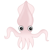Hand drawn under the sea animal png