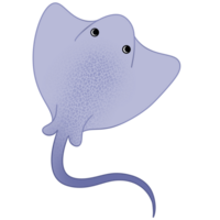 Hand drawn under the sea animal png