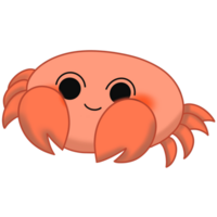Hand drawn under the sea animal png