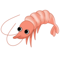 Hand drawn under the sea animal png