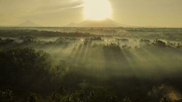 Aerial View Of The Morning Bali Forest In The Fog photo