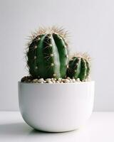 un cactus planta en un blanco cuenco en un blanco superficie - ai generado foto