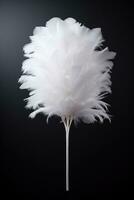 A monochromatic feather duster isolated on a white gradient background photo