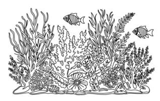 Ocean bottom coloring page with fish and algae. Sea life coloring book vector