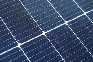 Water Drops on Solar Panel Cells After Rain photo