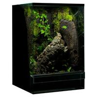 Vibrant Greenery Terrarium Reptile's Display with Boughs photo