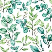 watercolor drawing, seamless pattern of transparent eucalyptus leaves, bouquets of tropical green leaves on a white background vector