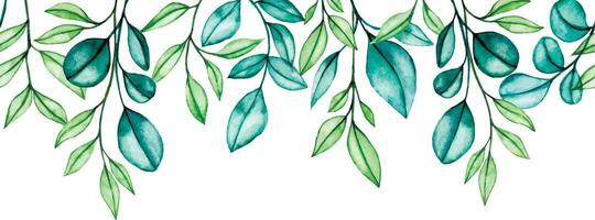 watercolor pattern, seamless border, frame with transparent eucalyptus leaves. vector